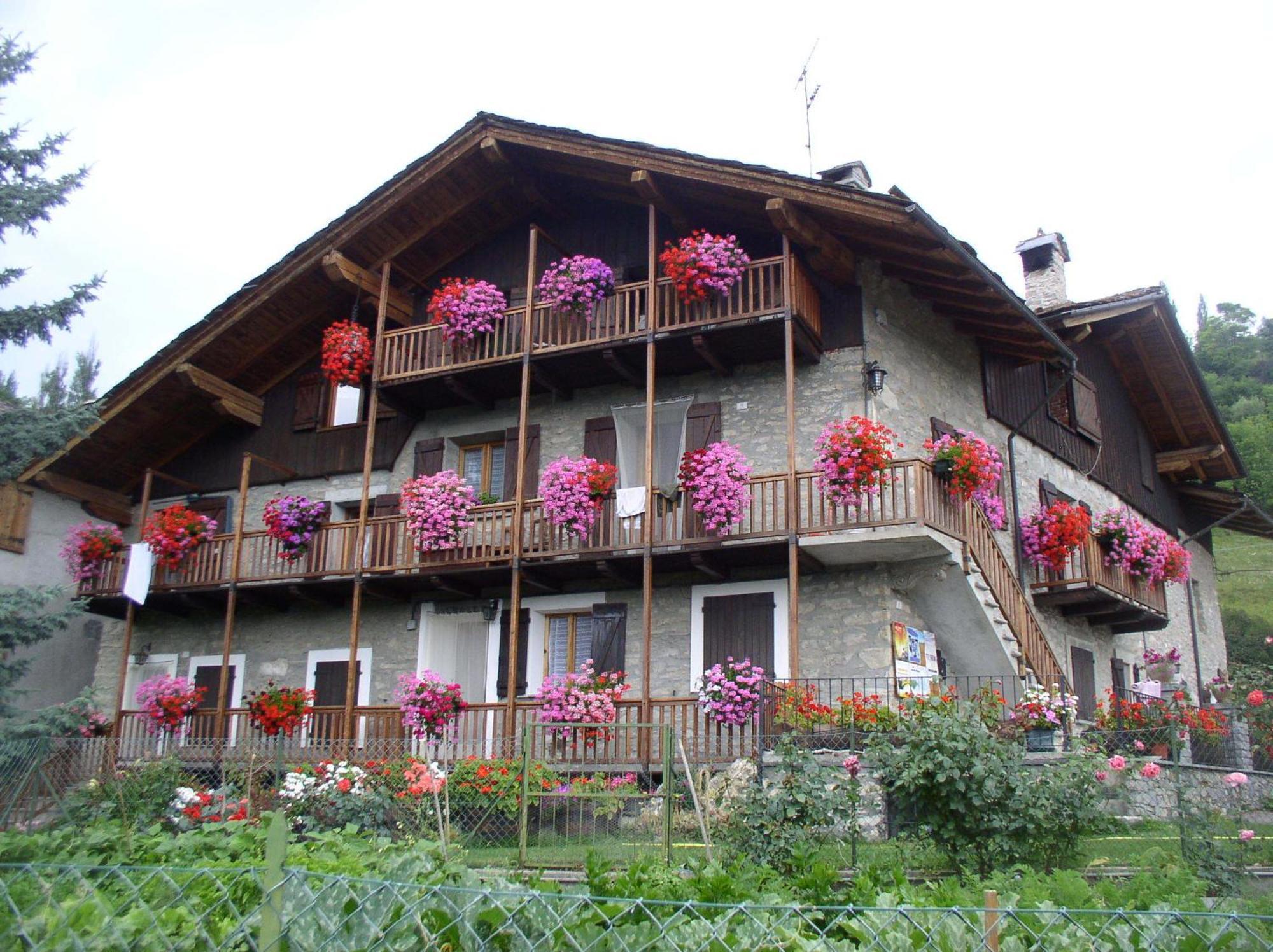 Le Vieux Noyer - Appartamenti Al Verde Villaggio Di Rumiod Сен-П'єрр Екстер'єр фото